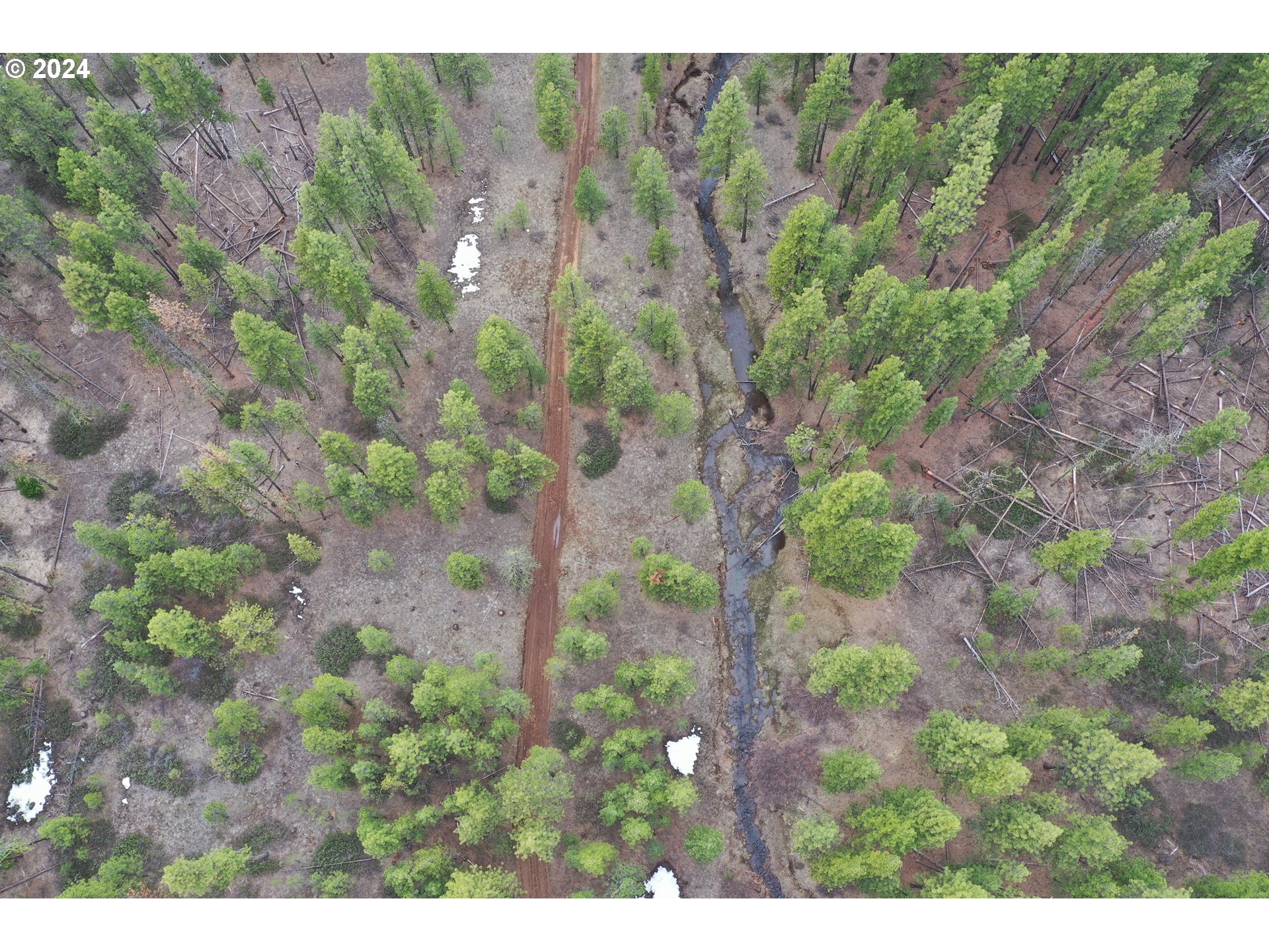 0 Pine Creek Road Bickleton, WA 99322 - Photo 2 of 16 Gallery Image 2