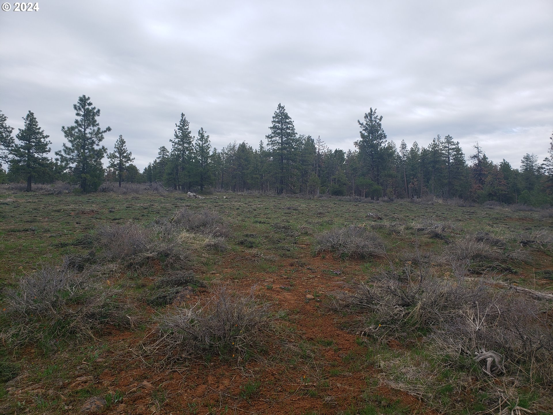 0 Pine Creek Road Bickleton, WA 99322 - Photo 4 of 16 Gallery Image 4