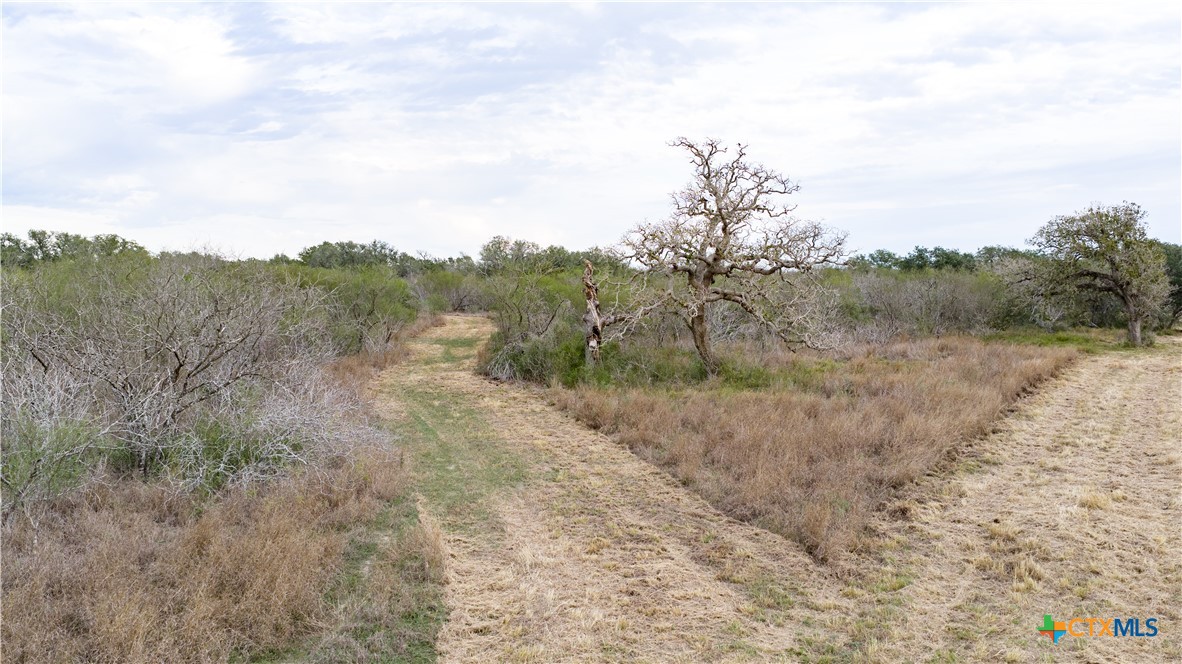 618 McGuill Road Goliad, TX 77963 - Photo 28 of 48 a view of a dry yard with trees in the background