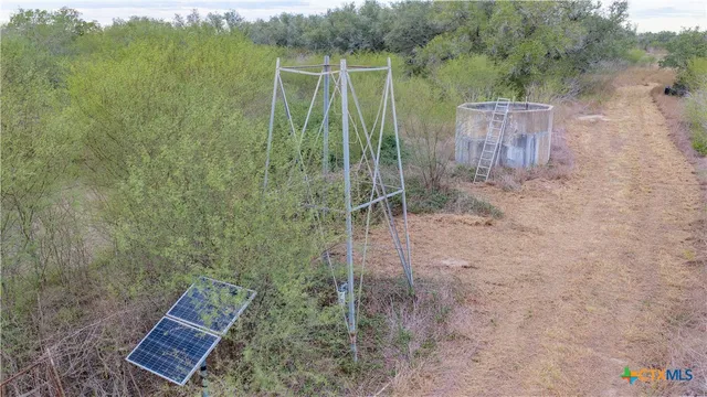 a view of a forest with a tree in the background