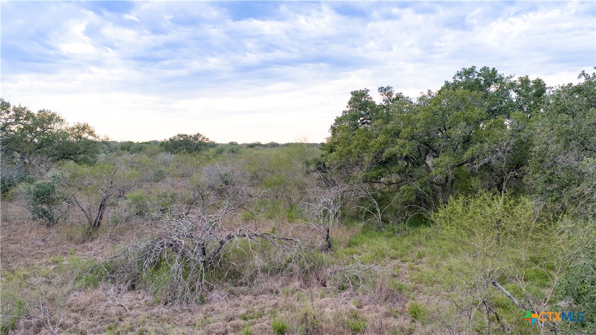 618 McGuill Road Goliad, TX 77963 - Photo 36 of 48 a view of a field of grass and trees