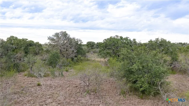 a view of a dry yard with trees in the background
