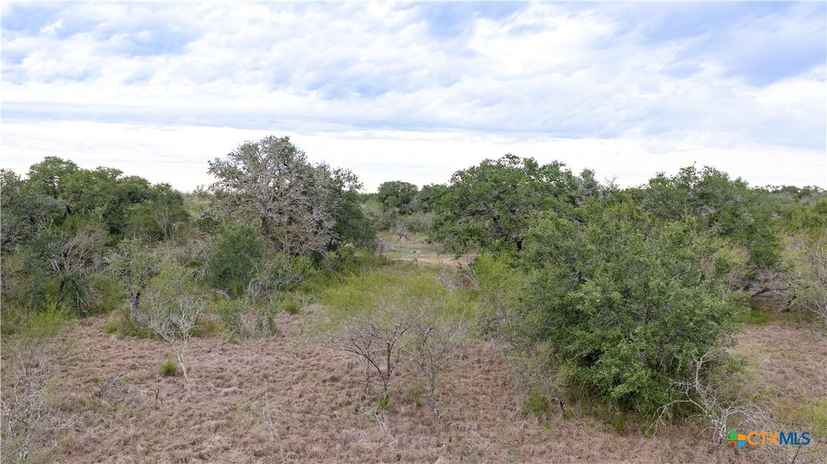 618 McGuill Road Goliad, TX 77963 - Photo 38 of 48 a view of a forest with trees in the background