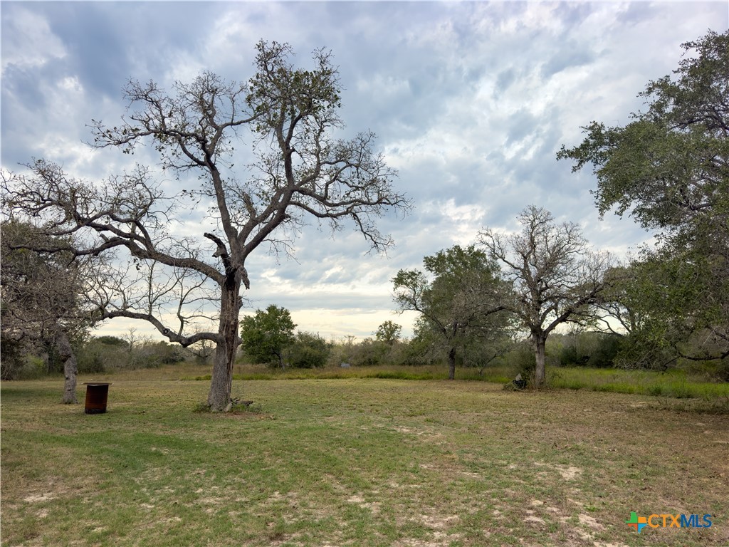 618 McGuill Road Goliad, TX 77963 - Photo 42 of 48 a picture of trees with wooden fence