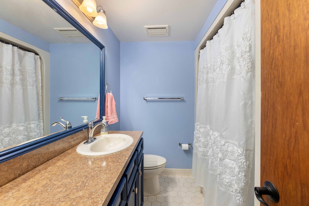 695 Boat Club Road Hamilton, GA 31811 - Photo 26 of 70 Lower Level Bathroom 2