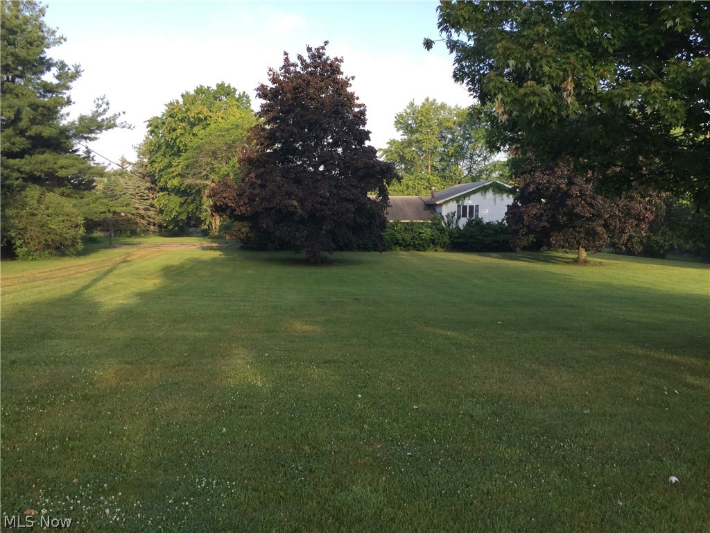 7900 Avon Lake Road Lodi, OH 44254 - Photo 1 of 33 Sidewalk to front door is behind the shrubs.
