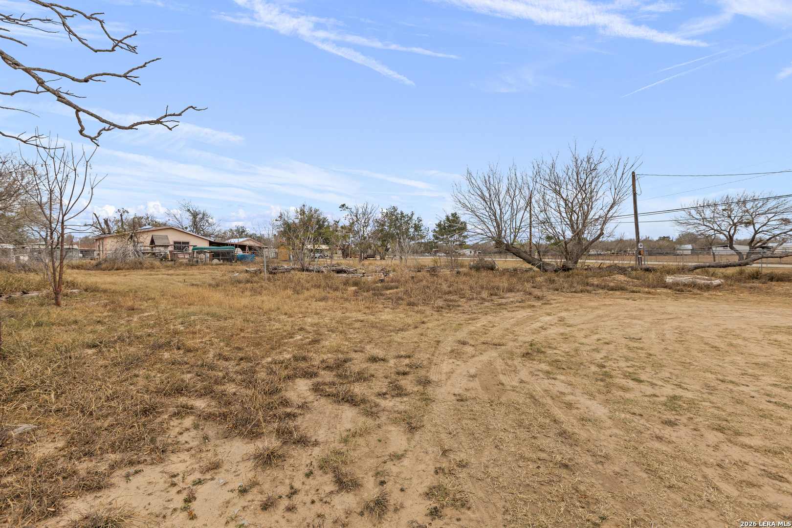 a view of dirt yard with large trees