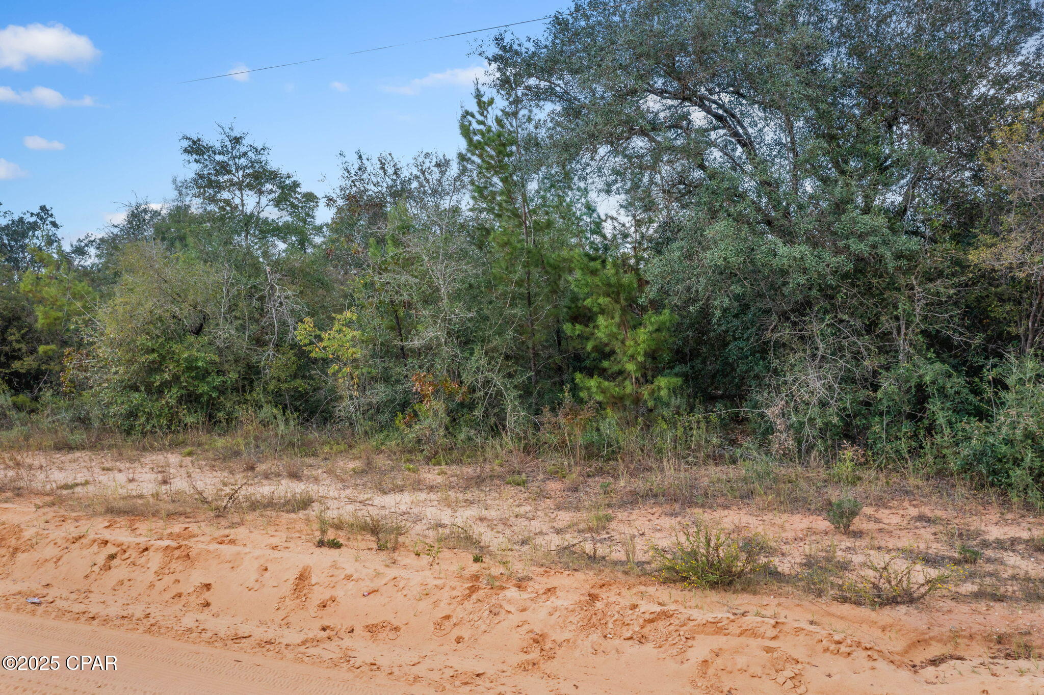 Xxx South Silver Lake Road Fountain, FL 32438 - Photo 8 of 22