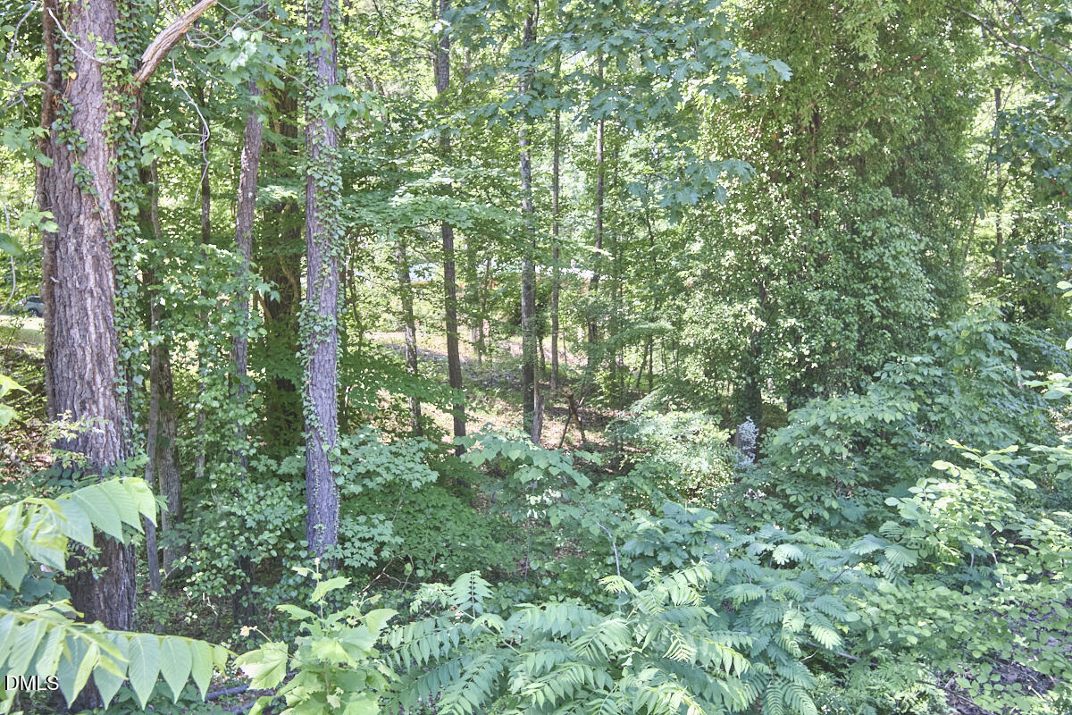 4204 Kerley Road Durham, NC 27705 - Photo 32 of 34 a backyard of a house with lots of green space and trees in the background
