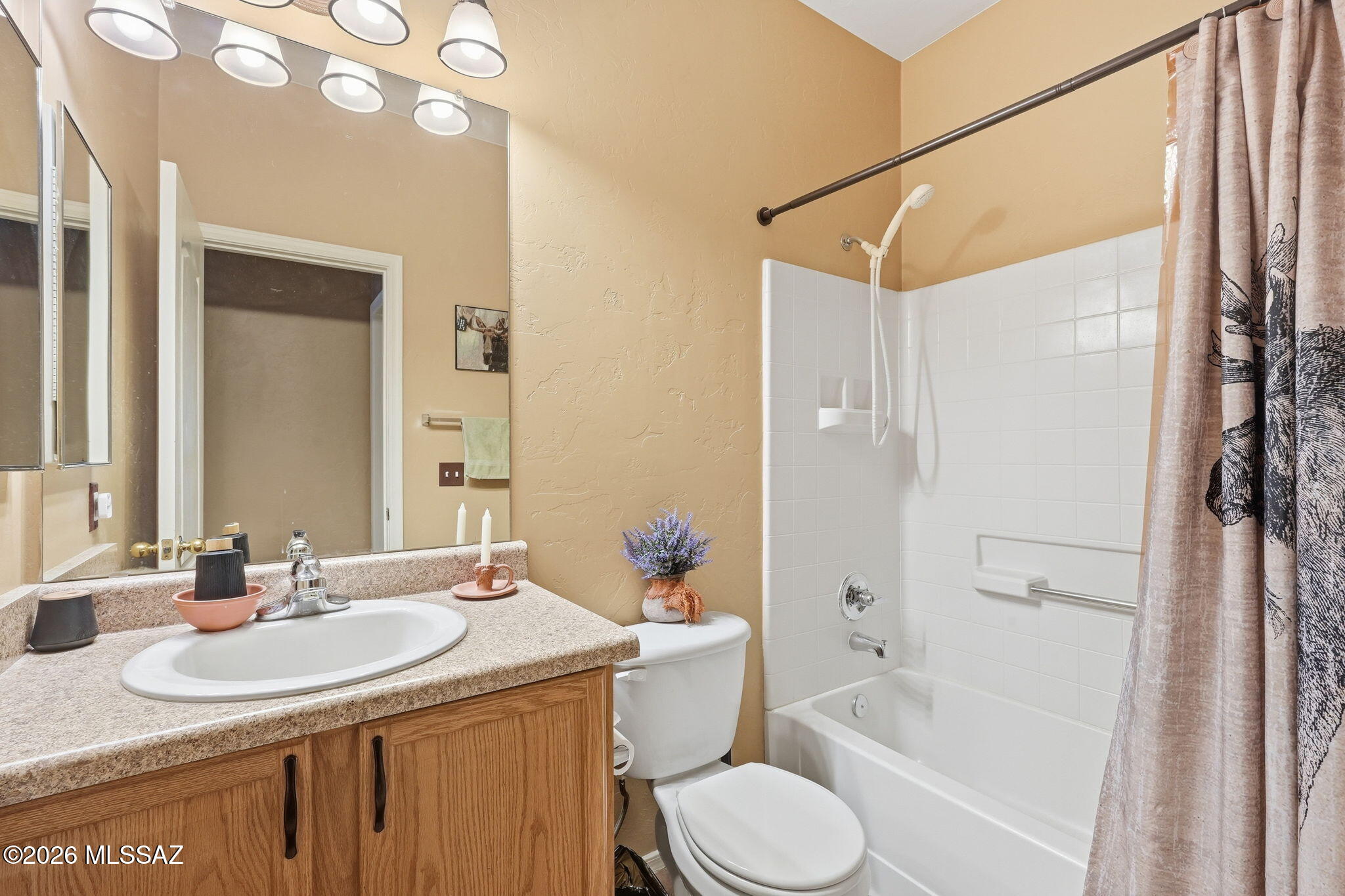 3497 South Desert Echo Road Tucson, AZ 85735 - Photo 37 of 50 037_ListerPros