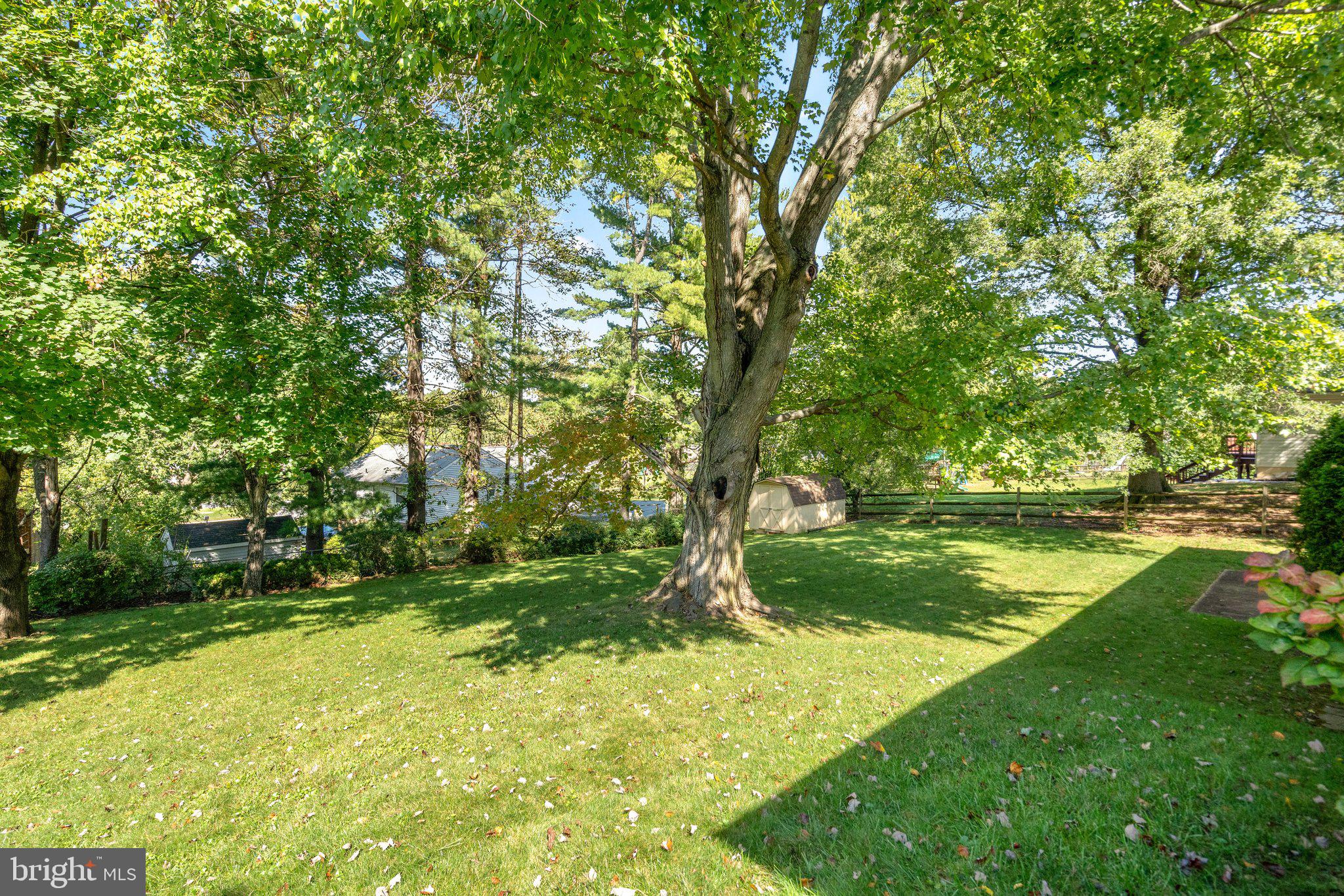 19504 Olney Mill Road Olney, MD 20832 - Photo 45 of 49 Mature Shade Trees