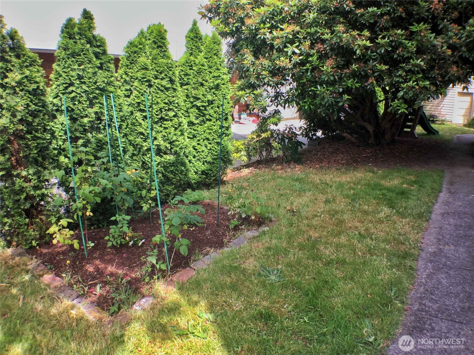 910 Northwest 52nd Street Seattle, WA 98107 - Photo 21 of 22 a view of a yard with plants and large trees