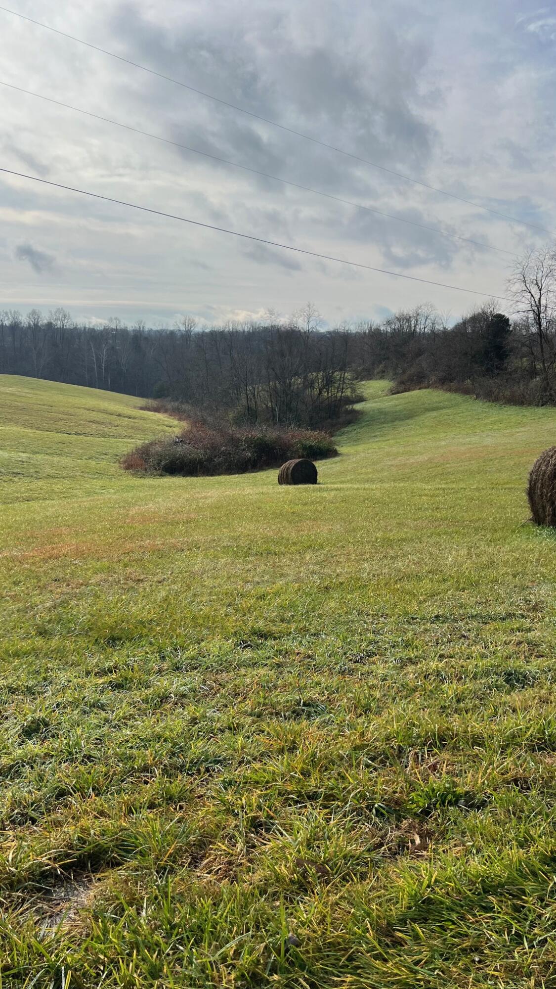 360-1 Mulligan Road Dry Ridge, KY 41035 - Photo 13 of 17 IMG_0747