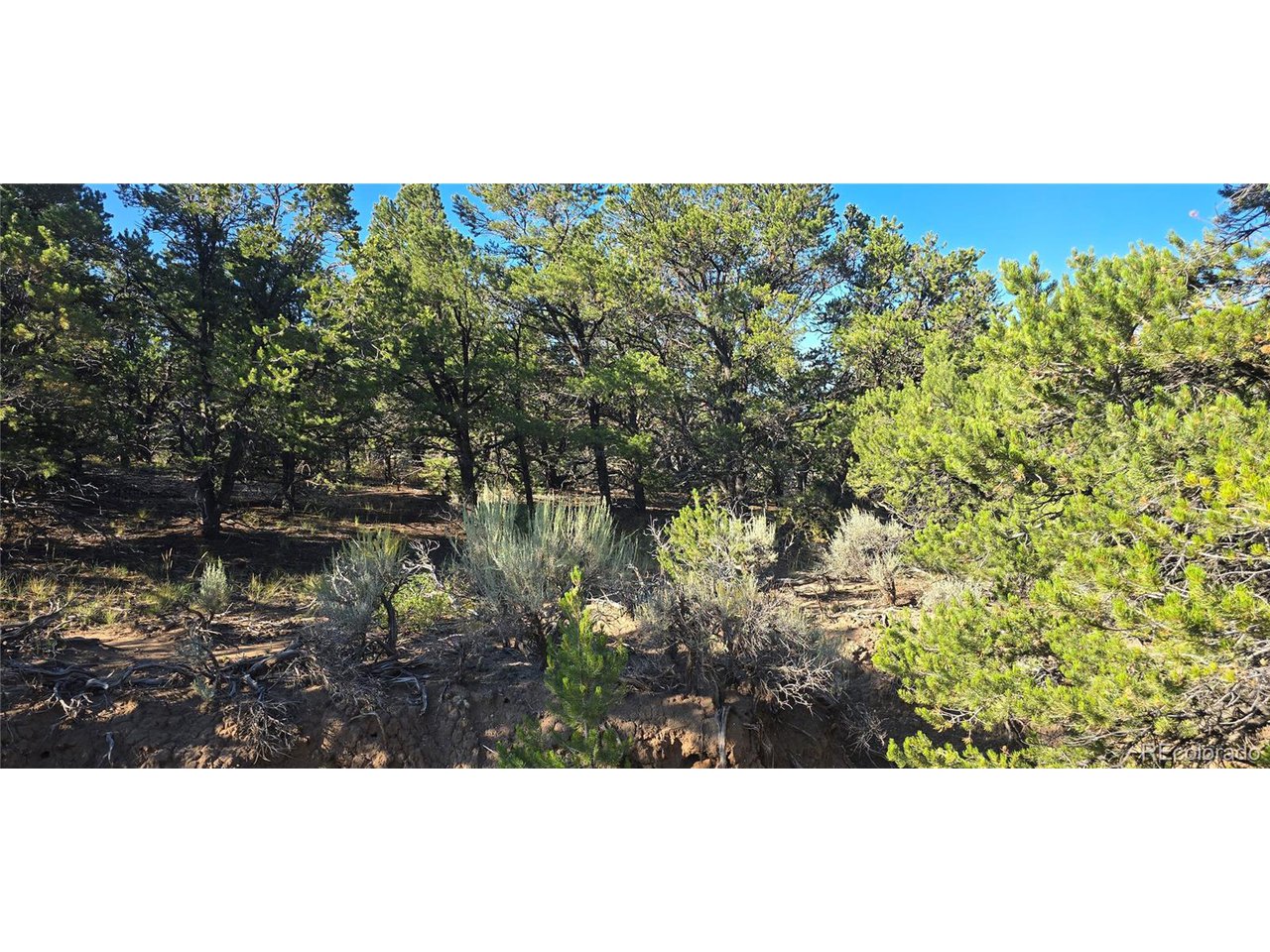 1362 Dunn Road San Luis, CO 81152 - Photo 1 of 12 Gallery Image 1