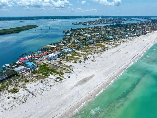 a view of a garden with a lot of flowers