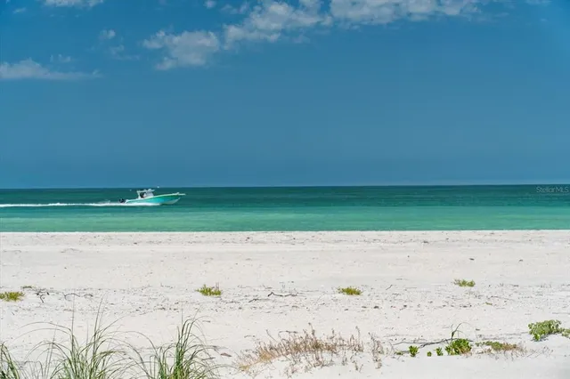 a view of a garden with an outdoor space