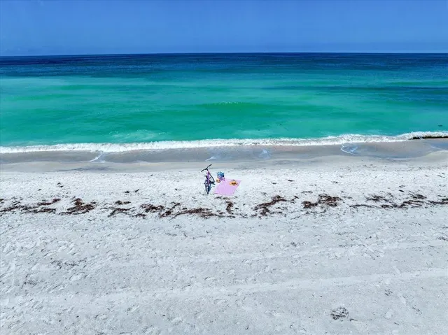 a view of a dry yard with wooden fence
