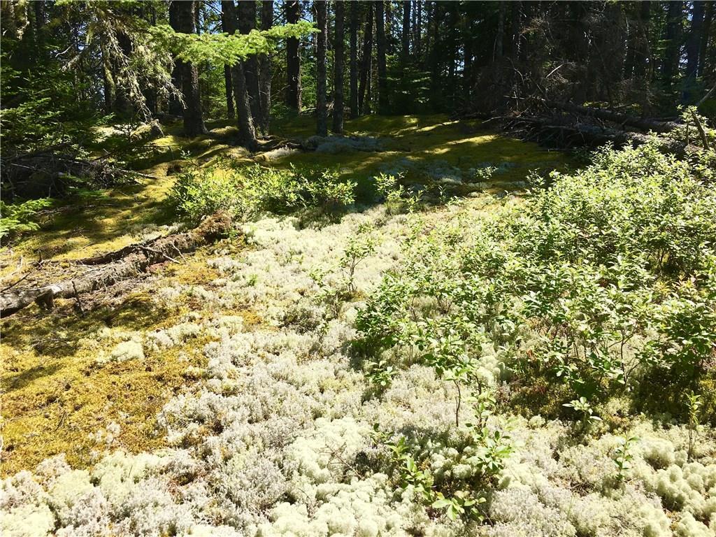 133 Calderwood Neck Road Vinalhaven, ME 04863 - Photo 12 of 27 Photo