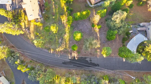 a vase of flowers sitting on a table
