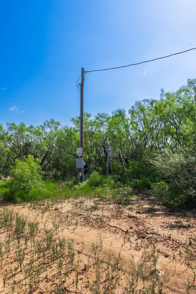 88291 Suaa Rd Well Lohn, TX 76852 - Photo 31 of 44 a view of a tree in the middle of a yard