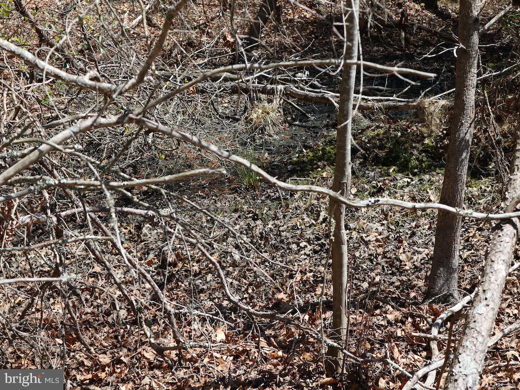 351 Shaws Mill Road Cedarville, NJ 08311 - Photo 70 of 84