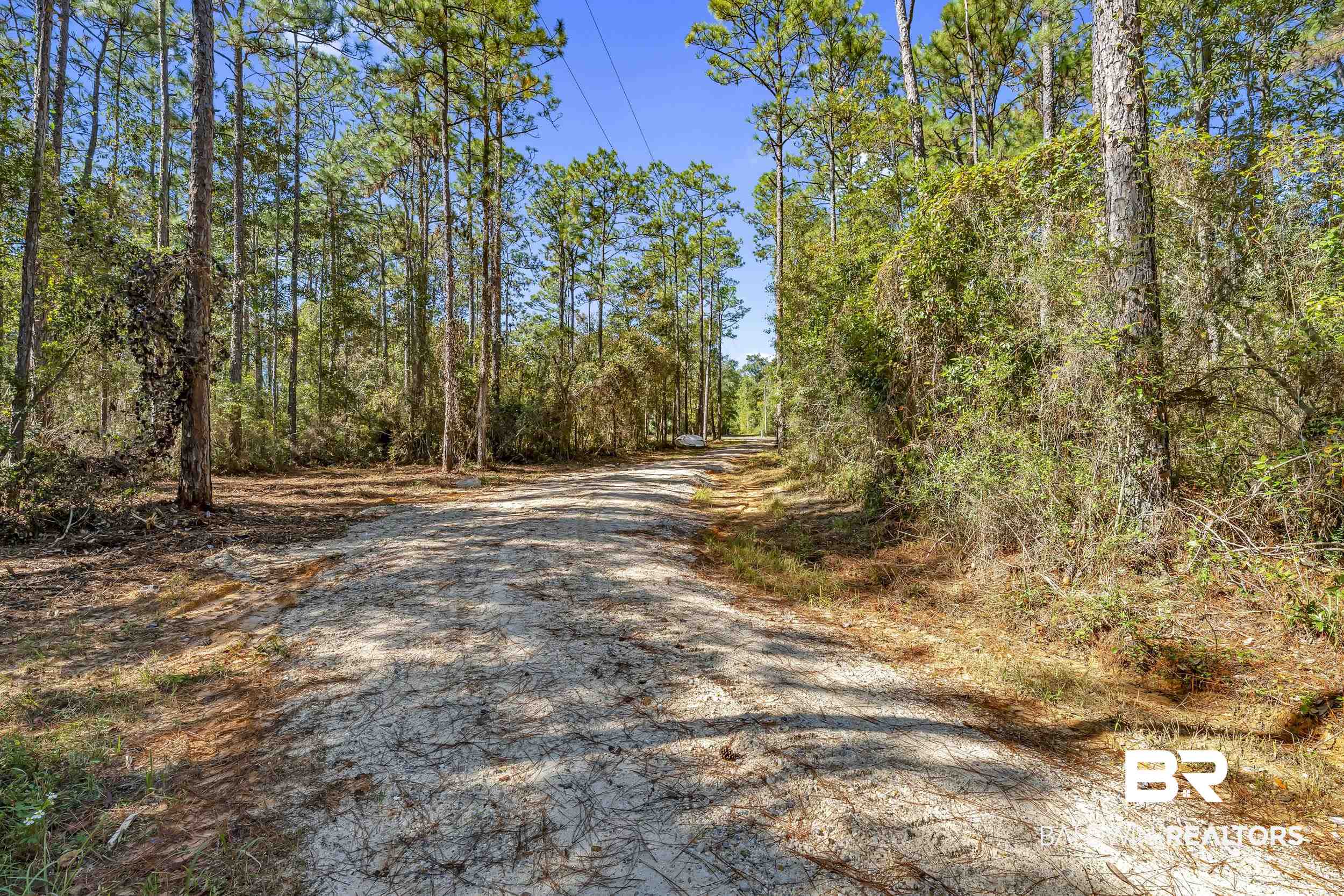 11010 Coleman Lane Elberta, AL 36530 - Photo 3 of 23