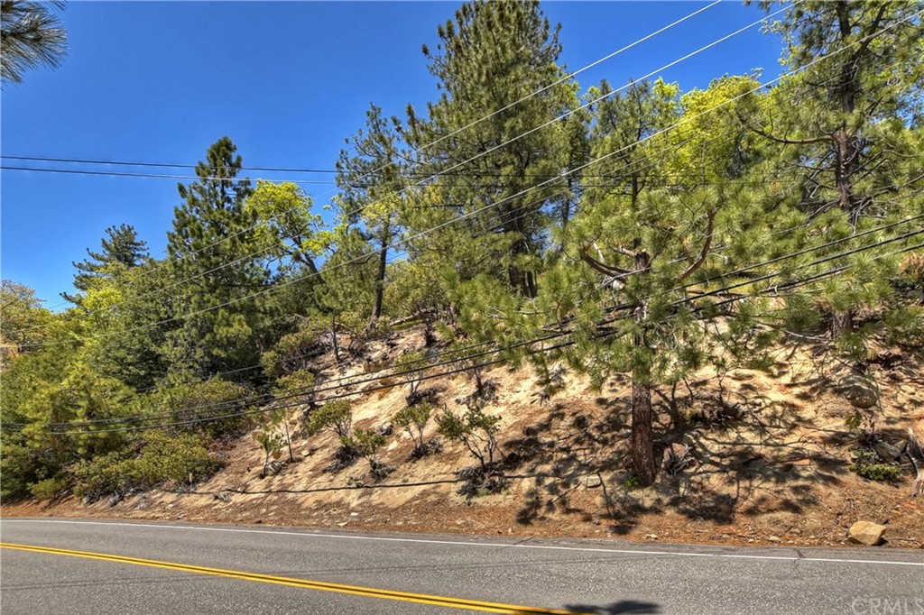 27638 North Bay Road Lake Arrowhead, CA 92352 - Photo 1 of 1 a view of a large tree