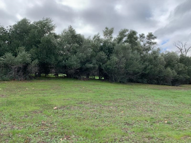 Lot A Walnut Street Red Bluff, CA 96080 - Photo 12 of 19