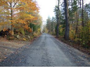 801 Old County Road Cavendish, VT 05142 - Photo 2 of 3