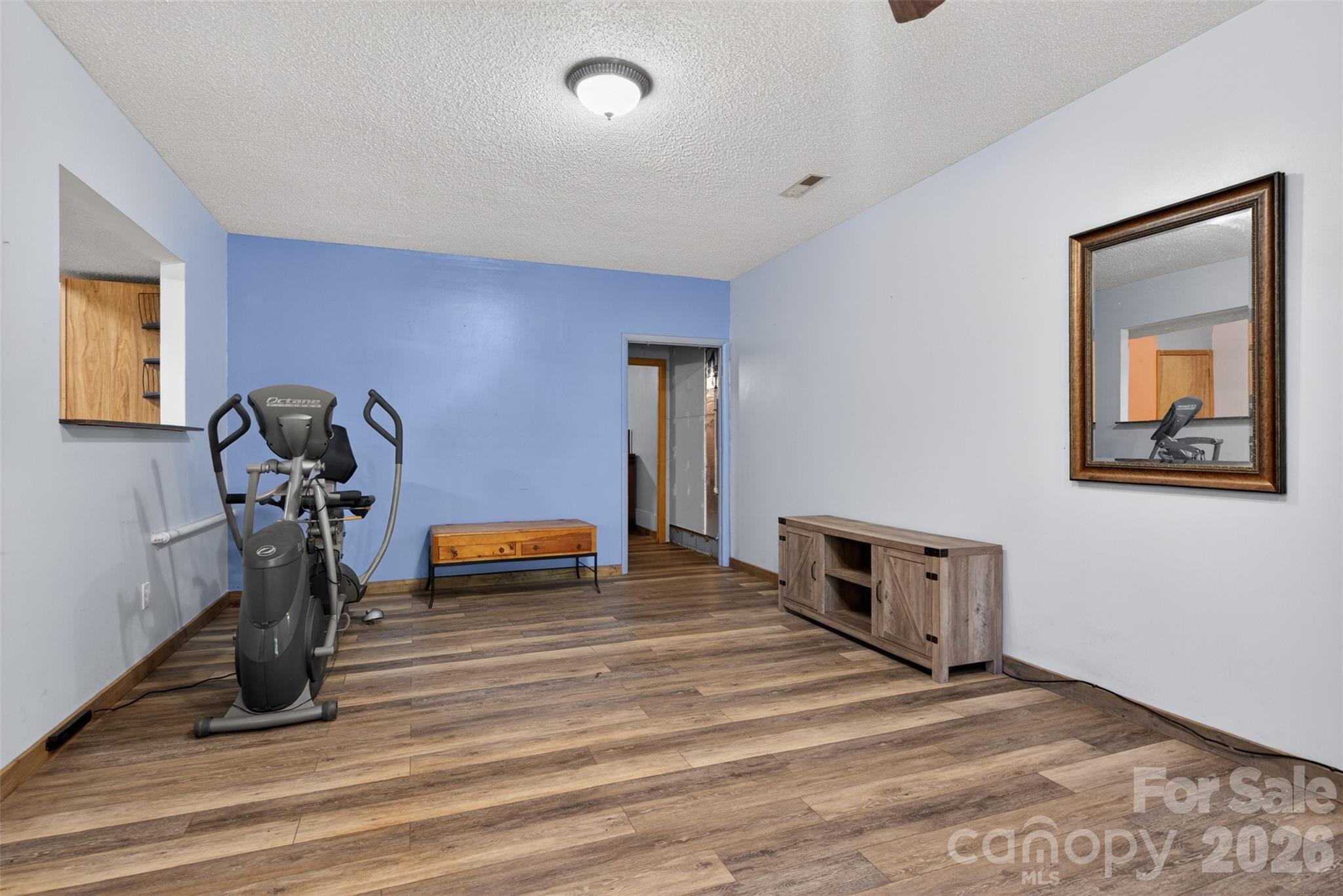 66 Misery Ridge Mill Spring, NC 28756 - Photo 28 of 43
