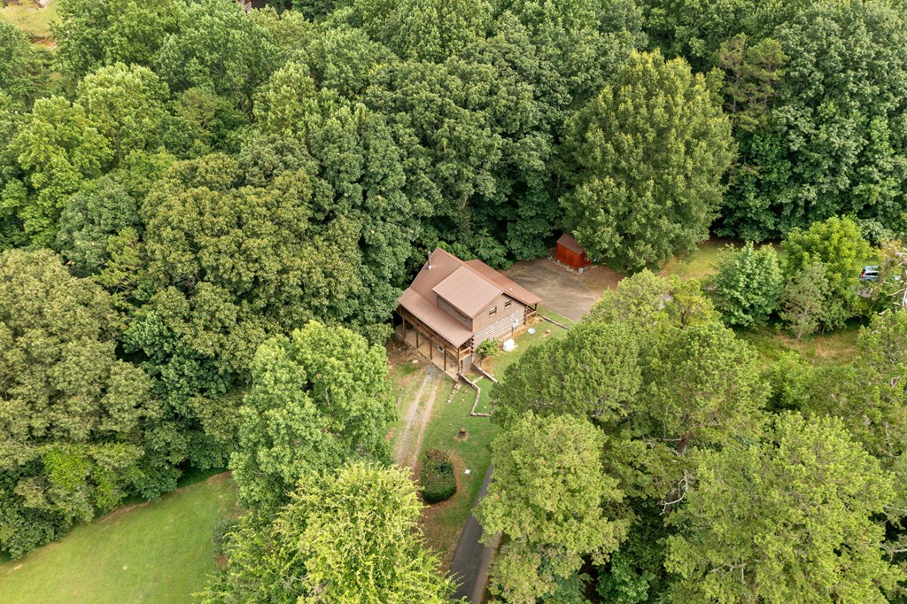 77 Long View Lane Ellijay, GA 30536 - Photo 11 of 44 Gallery Image 11