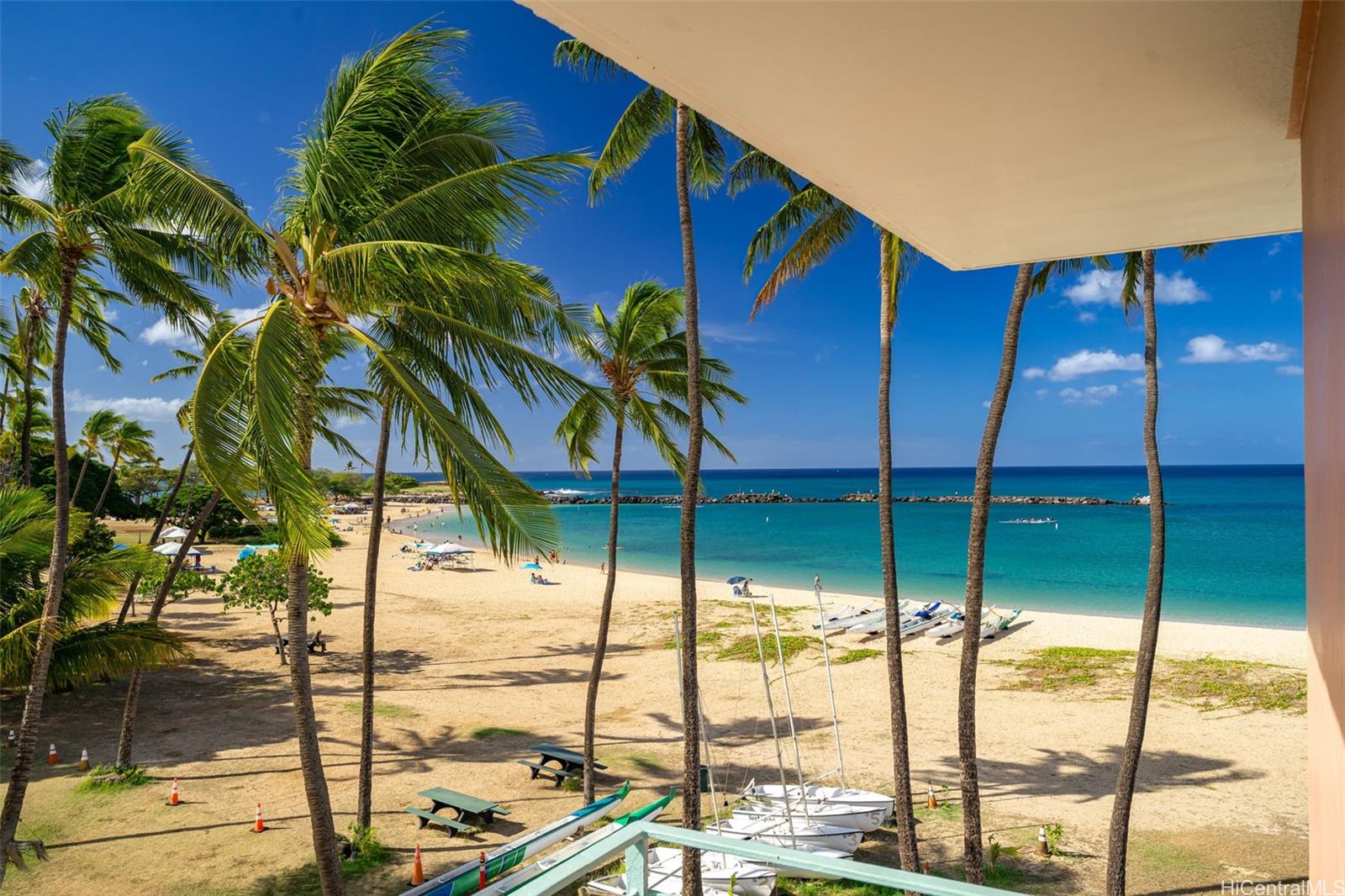 a view of balcony with a palm tree