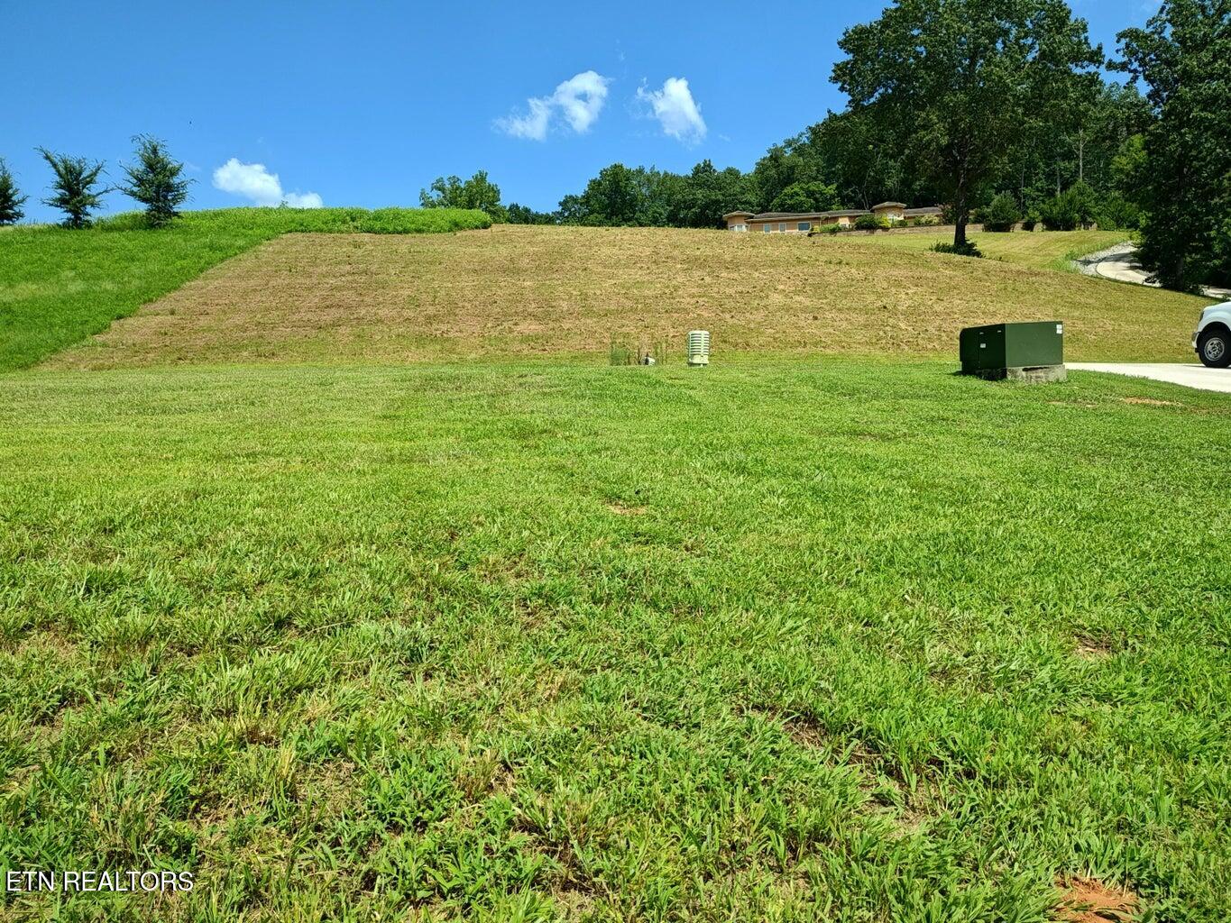 Espalier Drive, Unit 72 Decatur, TN 37322 - Photo 8 of 14 20250725153702502787000000-o