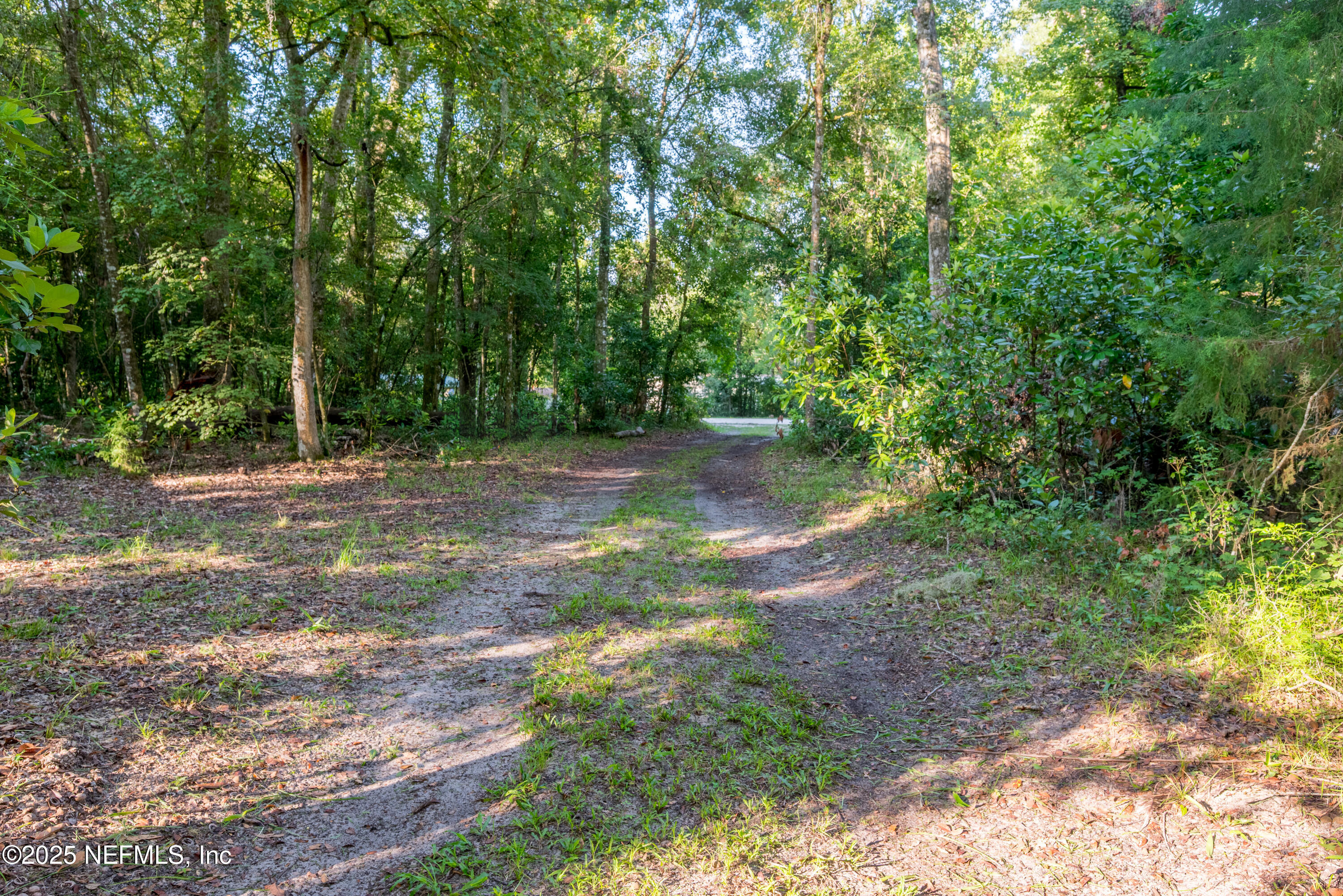 141 Southwest Longhorn Terrace Fort White, FL 32038 - Photo 26 of 31 a backyard of a house with lots of green space