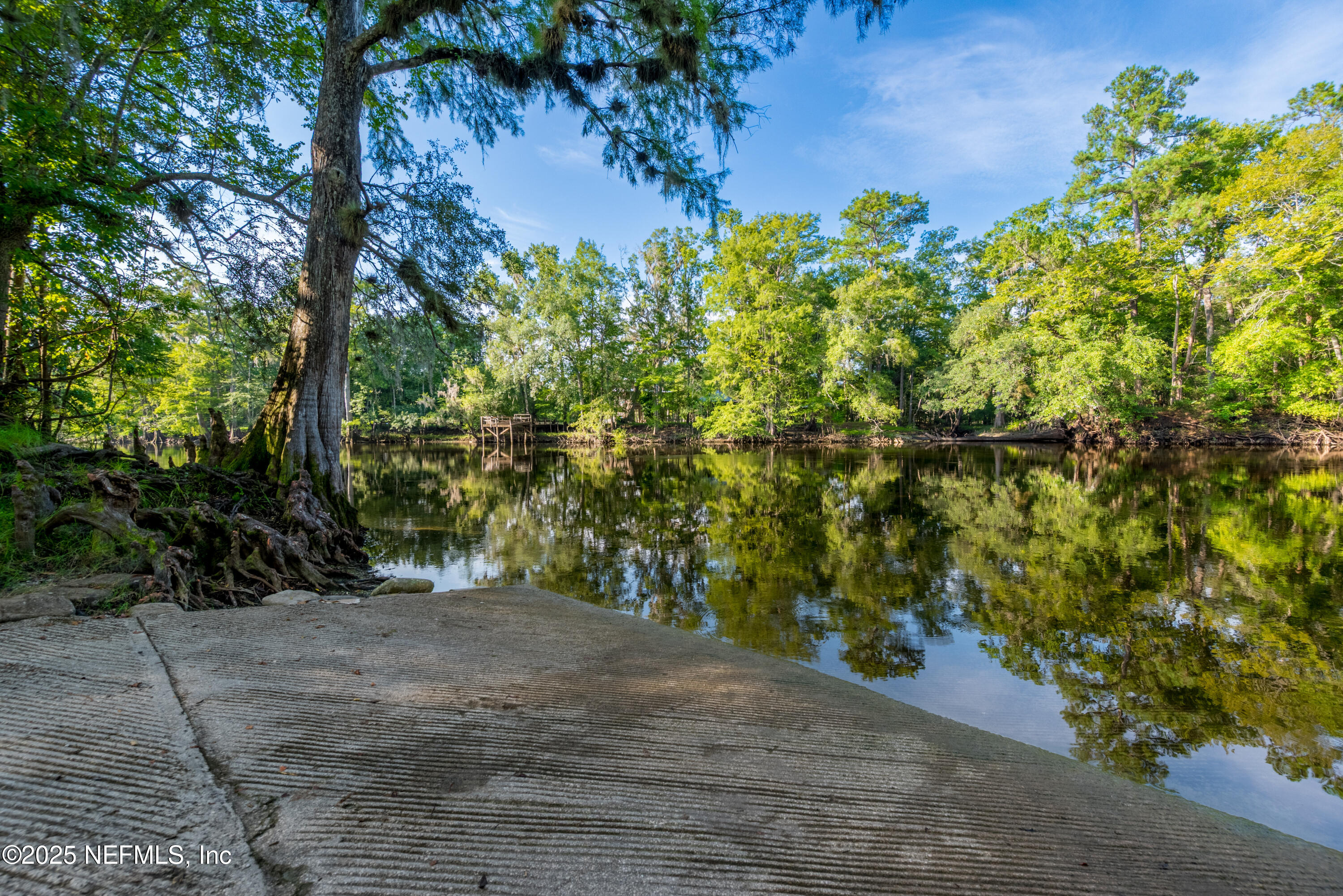 141 Southwest Longhorn Terrace Fort White, FL 32038 - Photo 30 of 31 a view of a yard with plants and trees