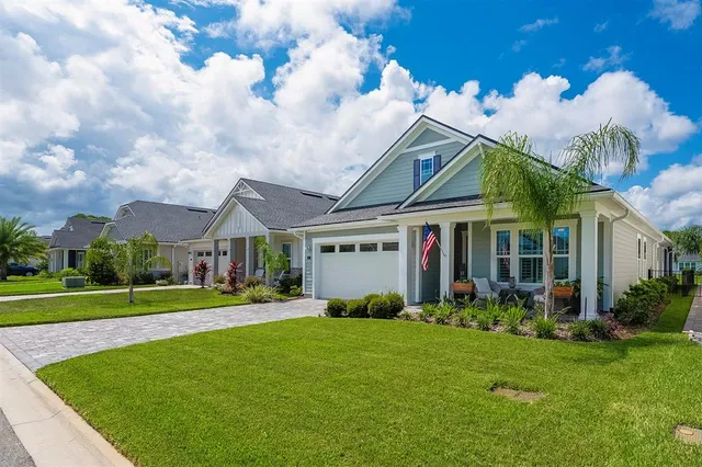 a living room with a couch and a potted plant
