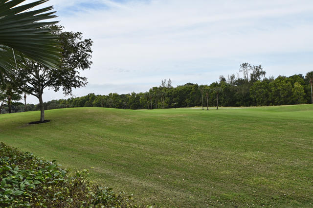 7036 Queenferry Circle Boca Raton, FL 33496 - Photo 29 of 30 29_DSC_9603 copy