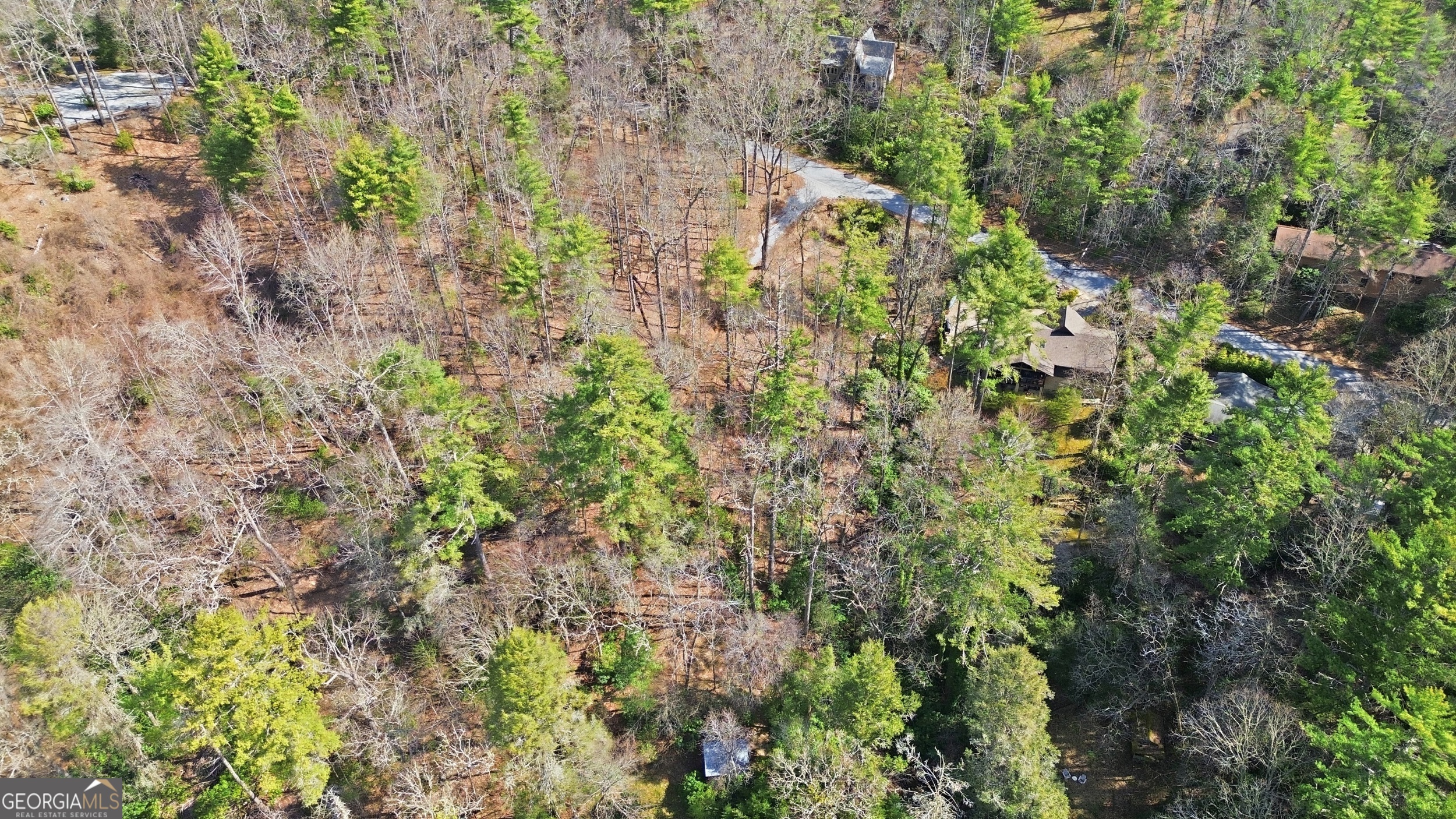 0 Webbmont Road Highlands, NC 28741 - Photo 3 of 4