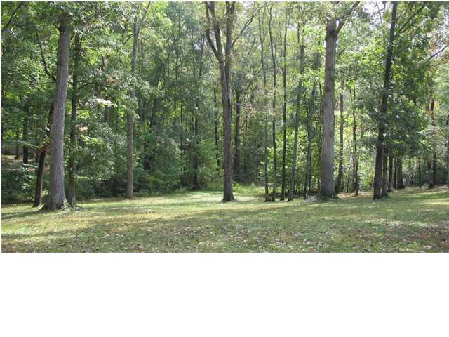 460 Graysville Road Ringgold, GA 30736 - Photo 28 of 36 Additional Photo