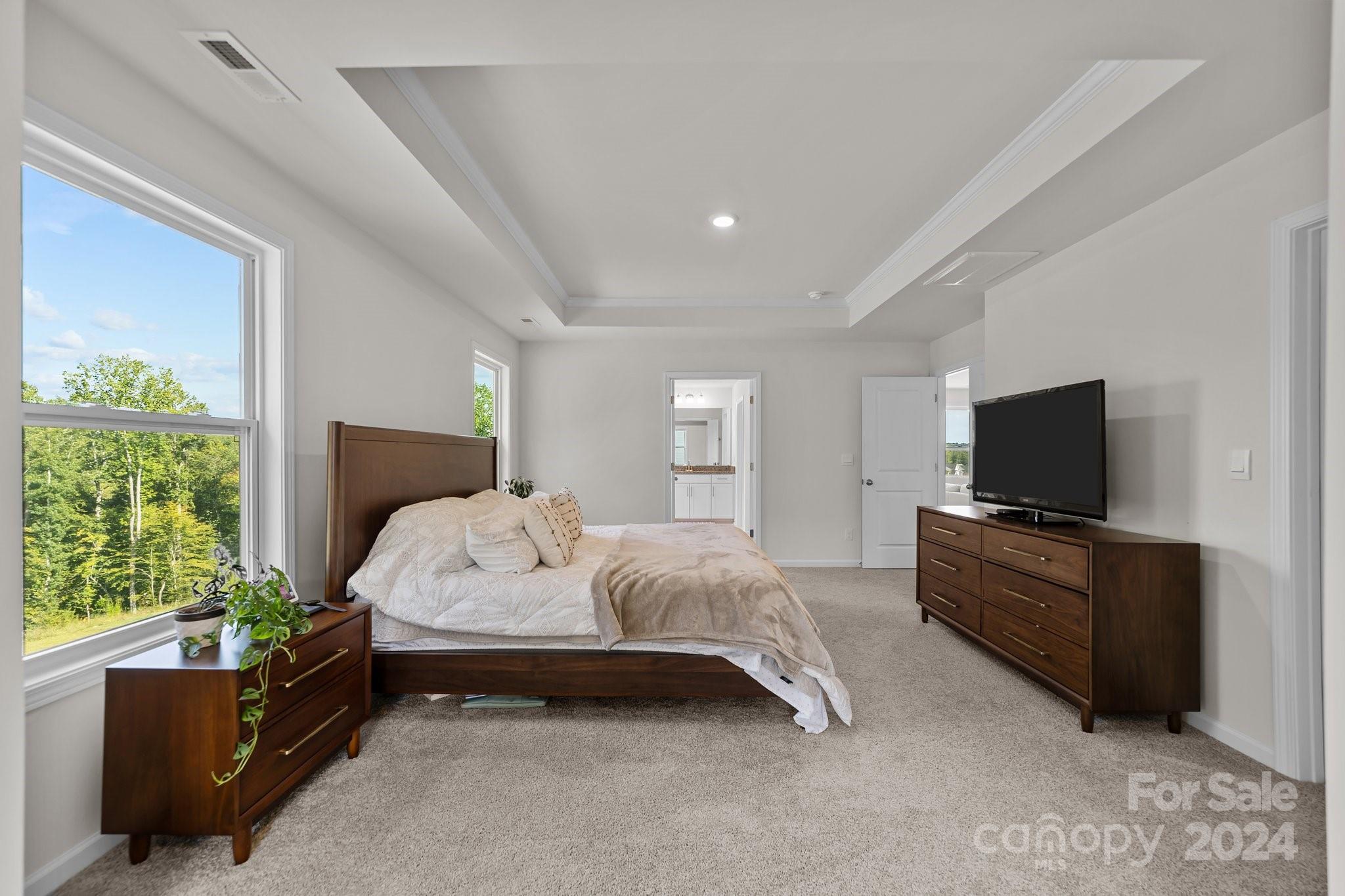 6037 Treehouse Drive Charlotte, NC 28214 - Photo 23 of 48 a spacious bedroom with a bed and a television in it