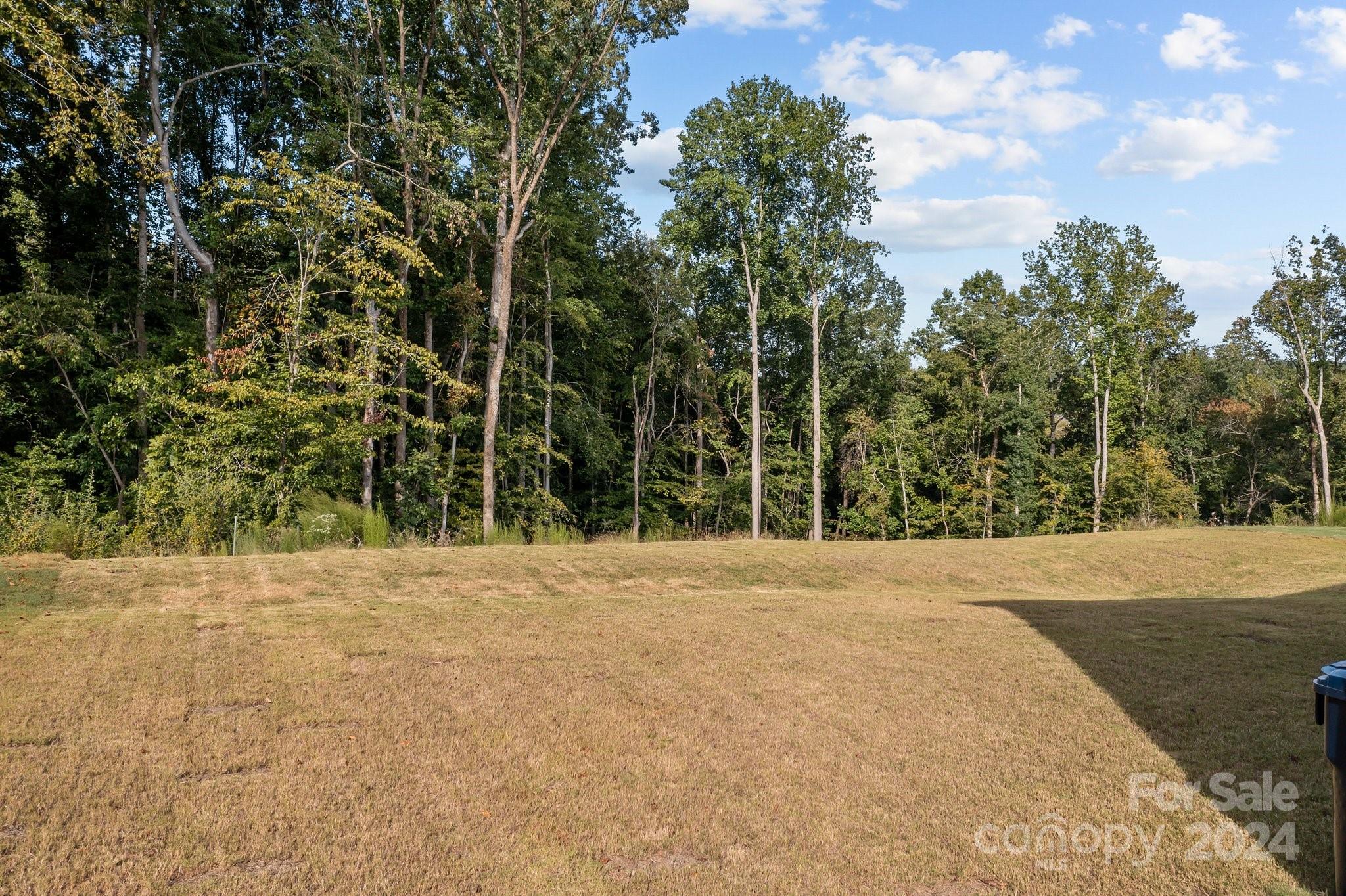 6037 Treehouse Drive Charlotte, NC 28214 - Photo 34 of 48 a view of a yard with plants and trees