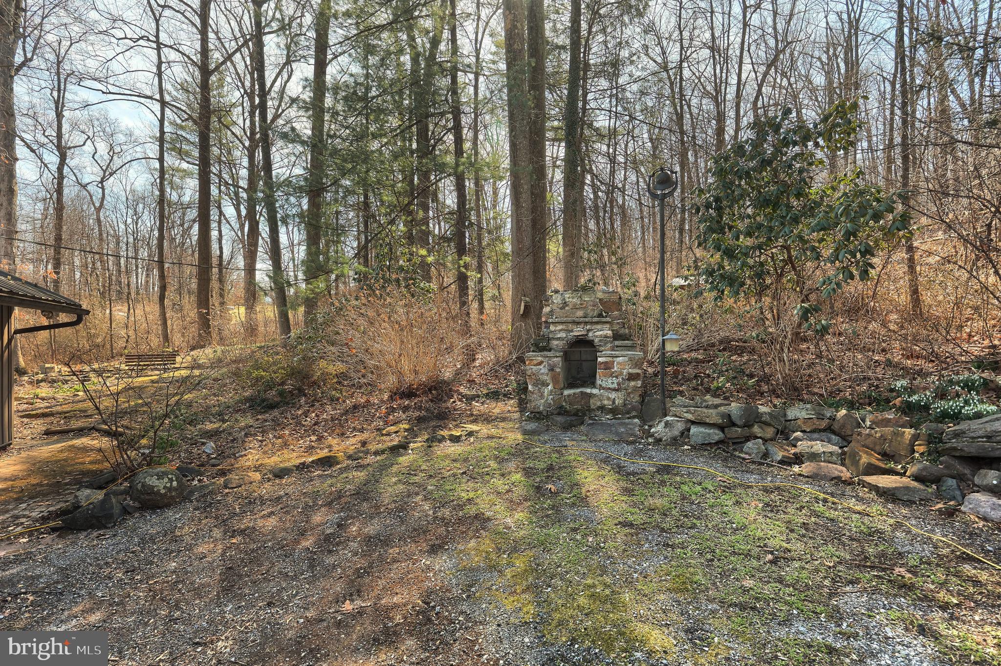6227 Pigeon Hill Road Spring Grove, PA 17362 - Photo 34 of 50 a view of forest