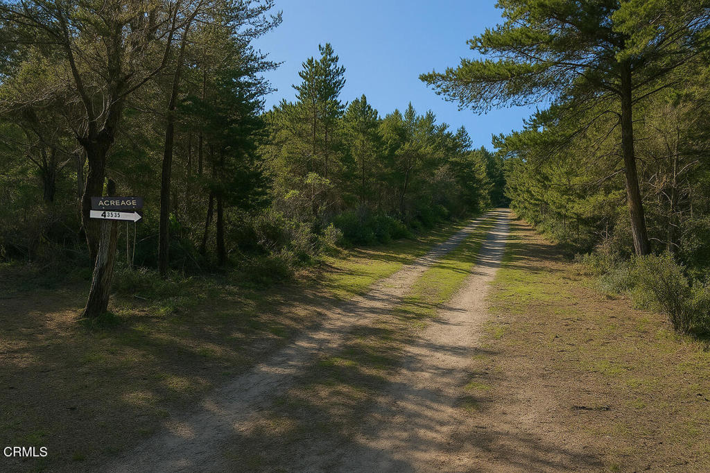 43535 Comptche Ukiah Road Mendocino, CA 95460 - Photo 6 of 12 Driveway to property