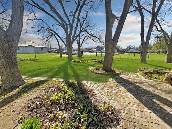 a view of a garden with a tree