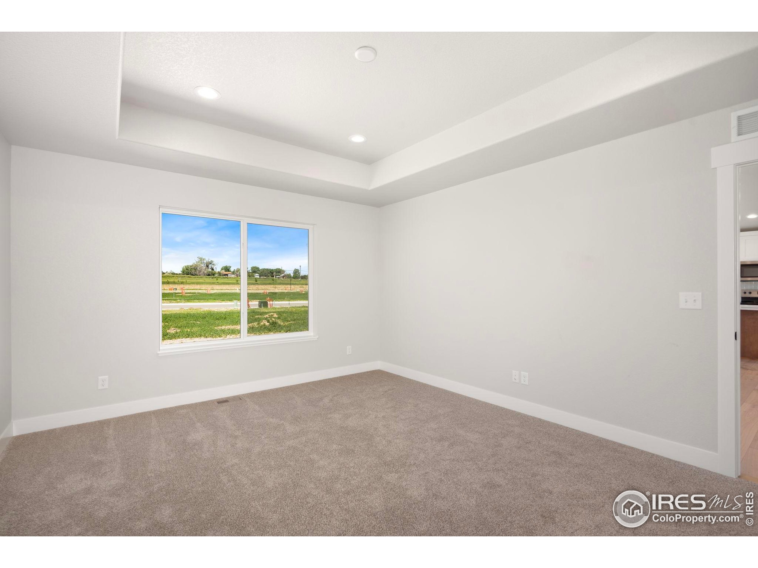 6997 Feather Reed Drive Wellington, CO 80549 - Photo 15 of 37