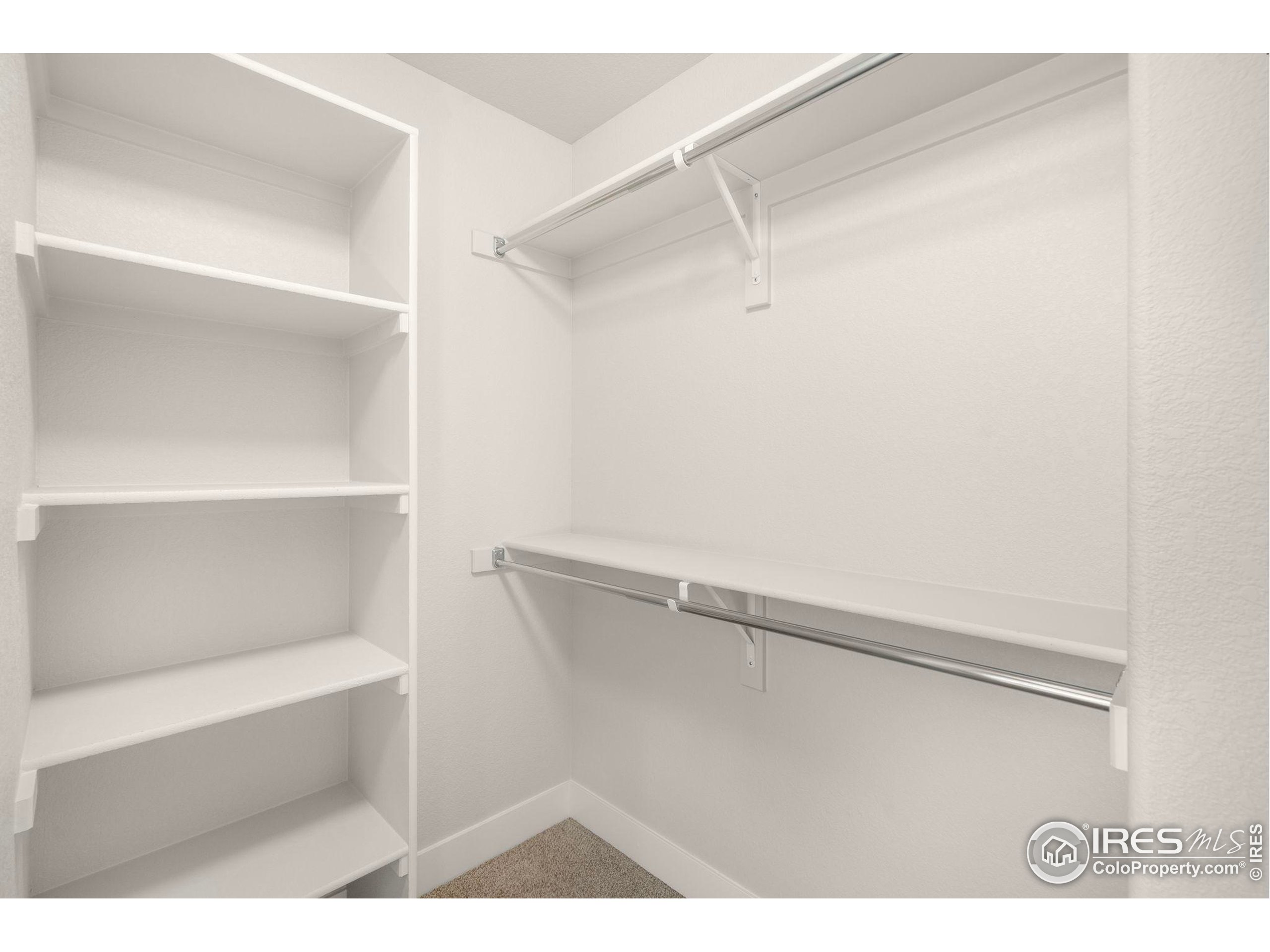 6997 Feather Reed Drive Wellington, CO 80549 - Photo 22 of 37