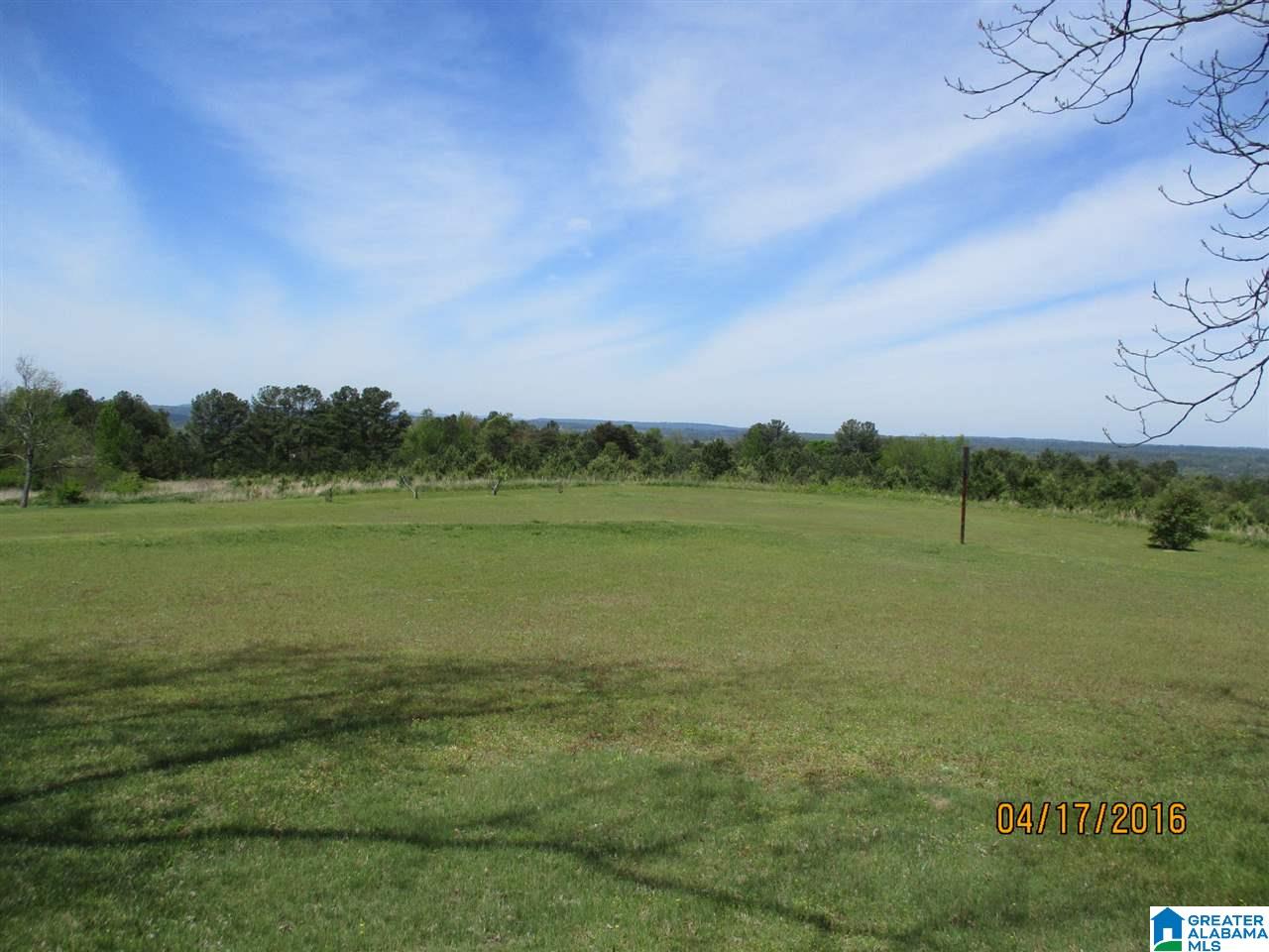2253 Cliff Springs Road Oneonta, AL 35121 - Photo 46 of 50 Gallery Image 46