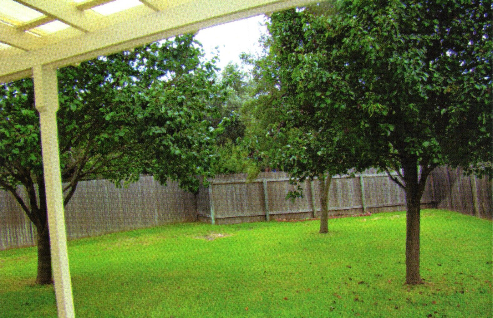 10700 Pointe View Drive Austin, TX 78738 - Photo 16 of 19 a view of a backyard with a small cabin
