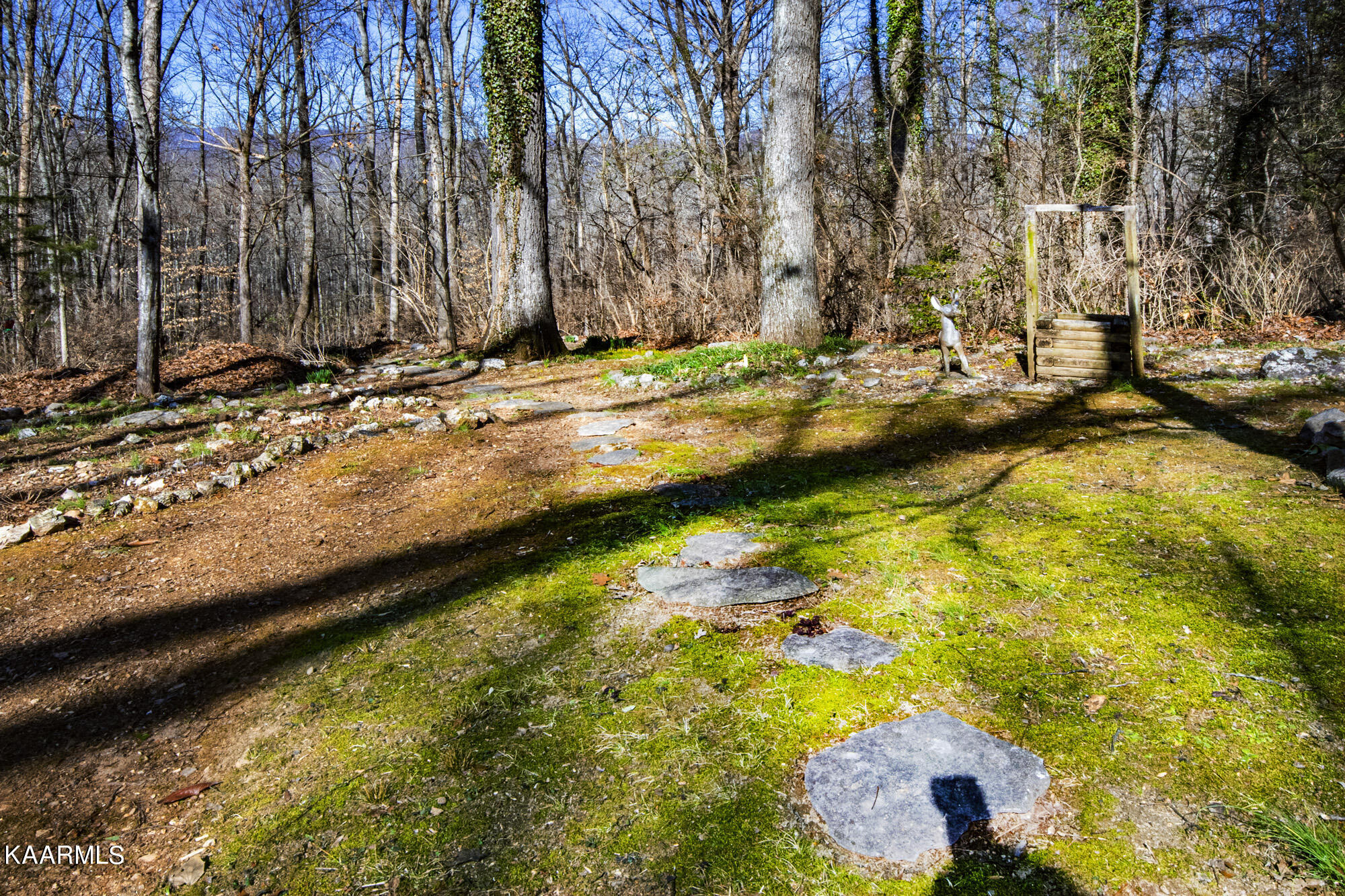 18 Outer Drive Oak Ridge, TN 37830 - Photo 10 of 41 V19A7360