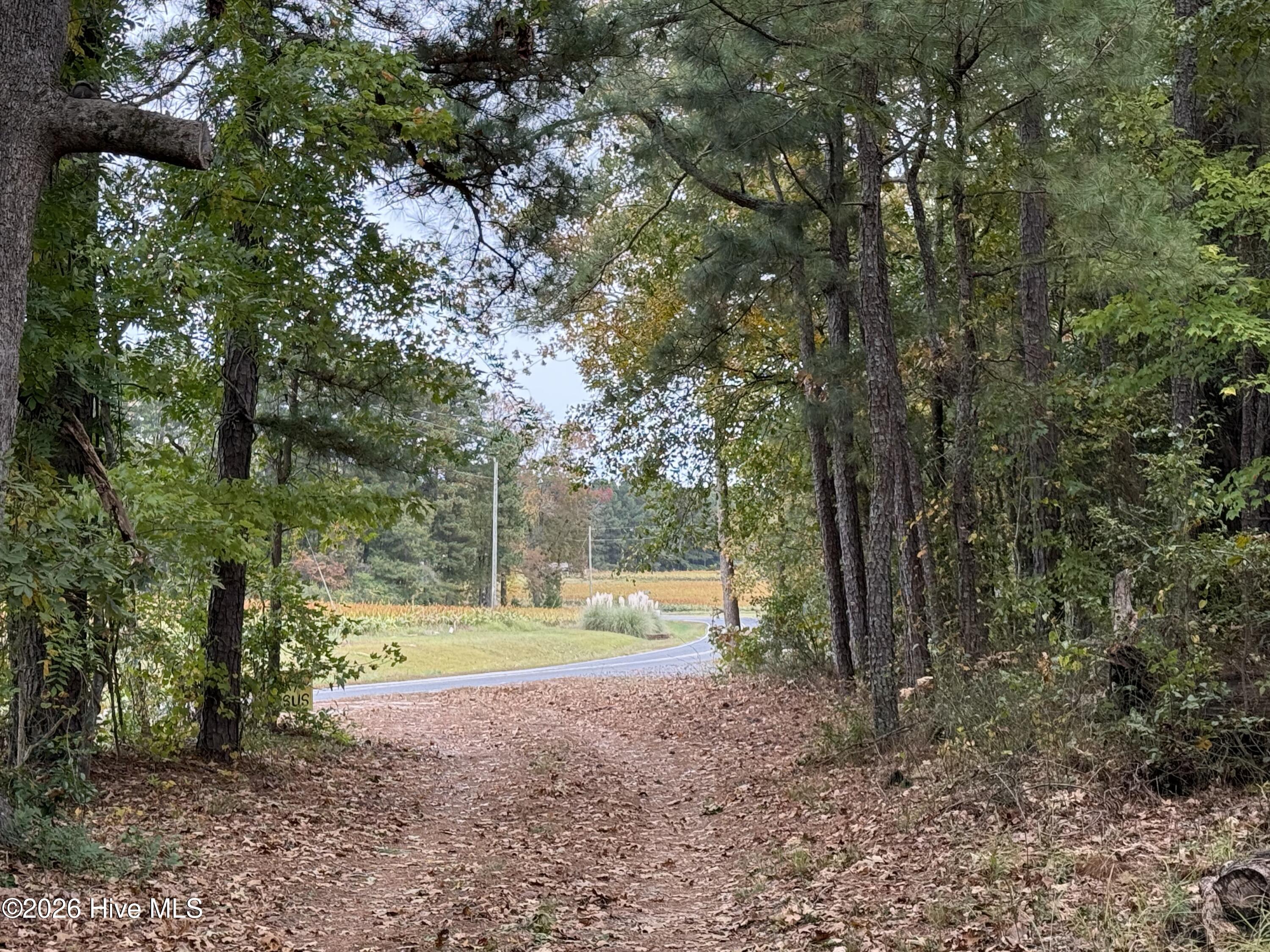 119 Bessie Road Carthage, NC 28327 - Photo 38 of 39